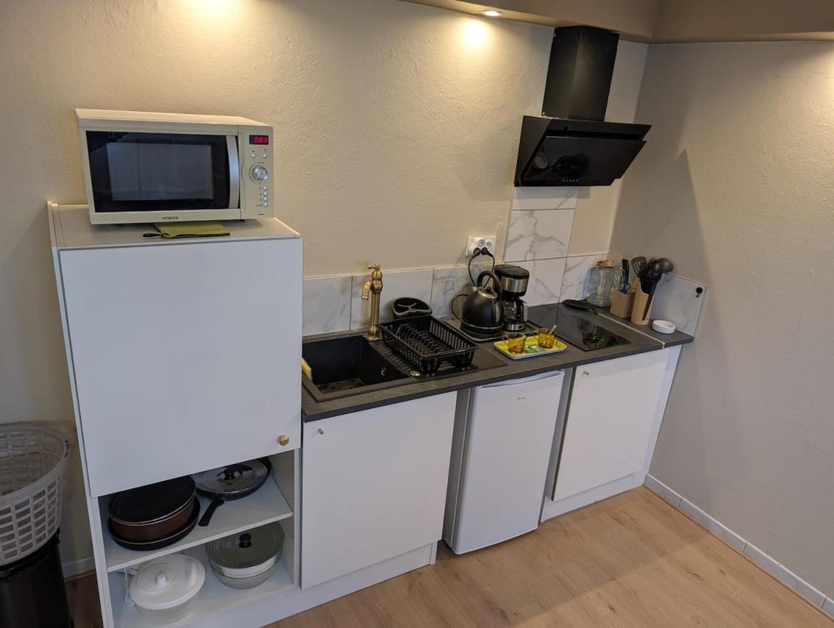 Appartement Verdoyant Au Bord Du Lac Leman Entre Evian Et Thonon Dans Une Villa Publier Exterior photo
